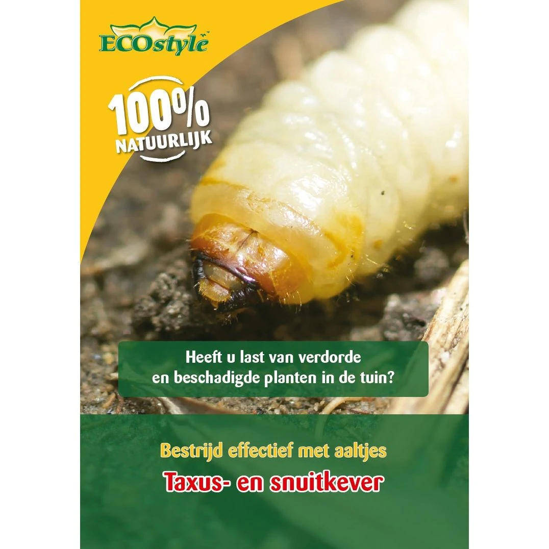Ecostyle Aaltjes Tegen Larven Taxus-kever H 10 M² 3 Ecostyle Aaltjes Tegen Larven Taxus-kever H 10 M²