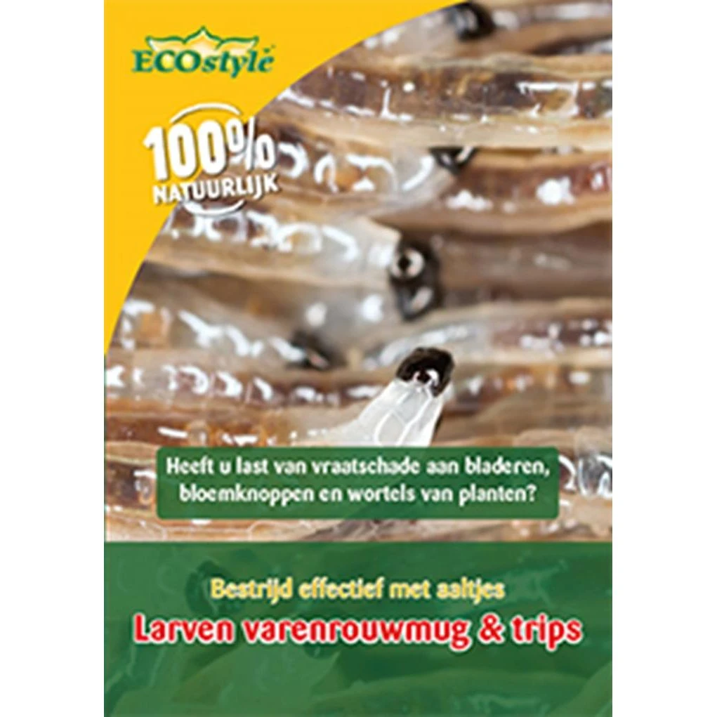 Ecostyle Aaltjes Tegen Varenrouwmug 25 M² 3 Ecostyle Aaltjes Tegen Varenrouwmug 25 M²