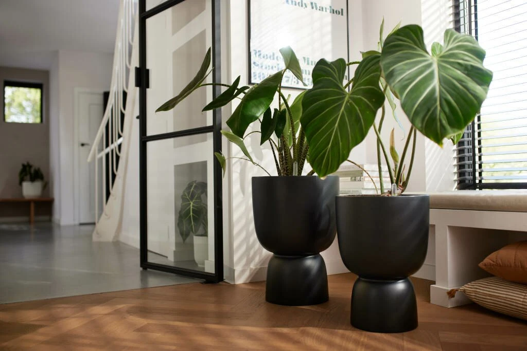 Elho Pure Coupe 35 Black 4 Elho Pure Coupe 35 Black - Afbeelding 2