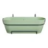 Elho Vibia Campaba All-in-1 Trough 50 Pistachio Green -TuinOaseExpert elho vibia campaba all in 1 trough 50 pistachio green 1024x1024 6427de9d2fb01 l