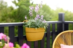 Elho Vibia Campana Easy Hanger Medium Honinggeel -TuinOaseExpert elho vibia campana easy hanger medium honinggeel 1024x682 61e94f6e1ea7a l