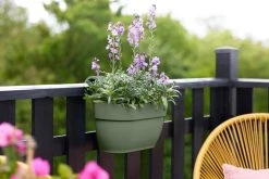 Elho Vibia Campana Easy Hanger Medium Pistache Groen -TuinOaseExpert elho vibia campana easy hanger medium pistache groen 1024x682 61e9615396f99 l