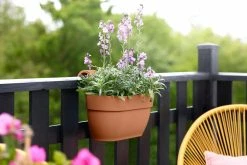 Elho Vibia Campana Easy Hanger Medium Terra -TuinOaseExpert elho vibia campana easy hanger medium terra 1024x683 6427f76f2d4f0 l