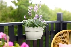 Elho Vibia Campana Easy Hanger Medium Zijdewit -TuinOaseExpert elho vibia campana easy hanger medium zijdewit 1024x682 61e9653bc75b6 l