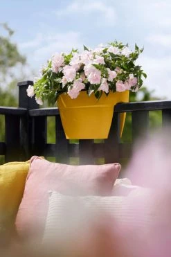 Elho Vibia Campana Flower Bridge 40 Honinggeel -TuinOaseExpert elho vibia campana flower bridge 40 honinggeel 1023x1536 61e55283f0787 l