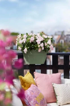 Elho Vibia Campana Flower Bridge 40 Pistachegroen -TuinOaseExpert elho vibia campana flower bridge 40 pistachegroen 1023x1536 61e56696cfe38 l