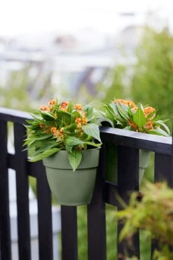 Elho Vibia Campana Flower Twin 21 Pistachegroen -TuinOaseExpert elho vibia campana flower twin 21 pistachegroen 1023x1536 61e5666c4552b l