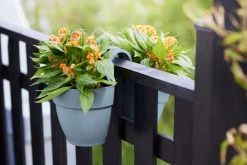 Elho Vibia Campana Flower Twin 21 Vintage Blauw -TuinOaseExpert elho vibia campana flower twin 21 vintage blauw 1024x682 61e54e3f844dc l