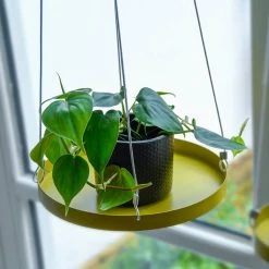 TuinOaseExpert -TuinOaseExpert plantenplateau hanger d24 cm goud 1024x1024 618aa759b77da l