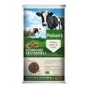 Pokon Gedroogde Mest Korrel 10 Kg -TuinOaseExpert pokon gedroogde mest korrel 10 kg 1548679897 l