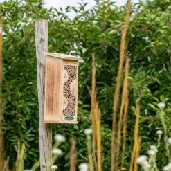 Vogelbescherming Insectenhuis Floreana -TuinOaseExpert vogelbescherming insectenhuis floreana 1024x1024 634e6ec3aa71e l